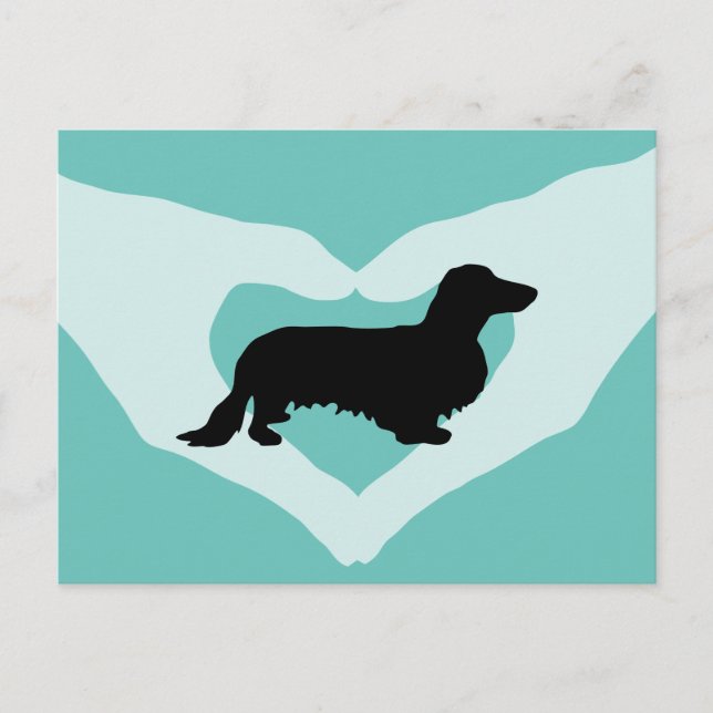 Dachshund Long Hair - Silhouette 1 Postcard (Front)