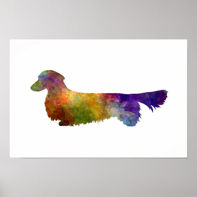 Dachshund Long Haired  in watercolor-2 Poster (Front)