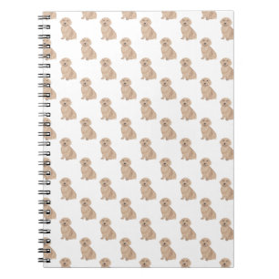 Dachshund (Long Haired, Red Apricot) Notebook