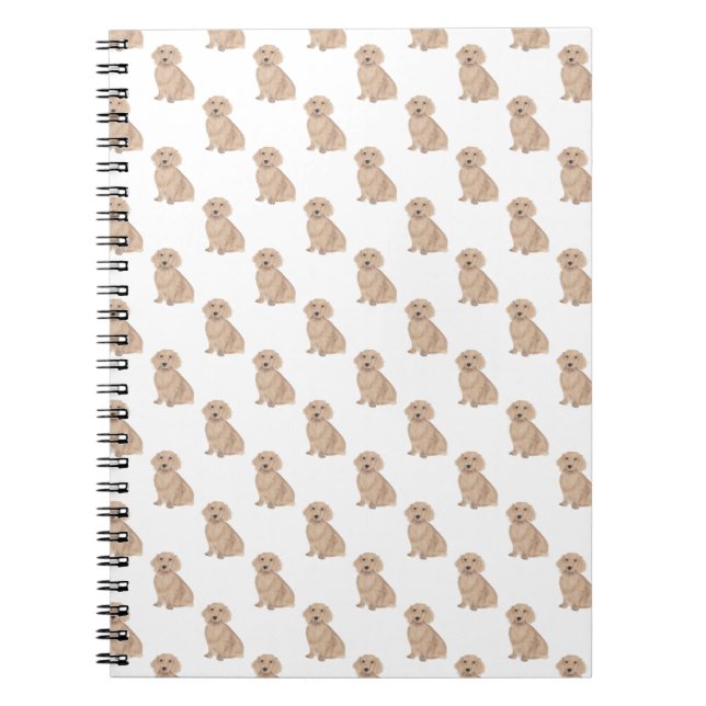 Dachshund (Long Haired, Red Apricot) Notebook (Front)