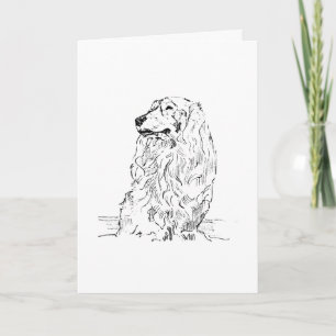 Dachshund – Long Haired Sausage Dog Card
