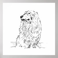 Dachshund – Long Haired Sausage Dog