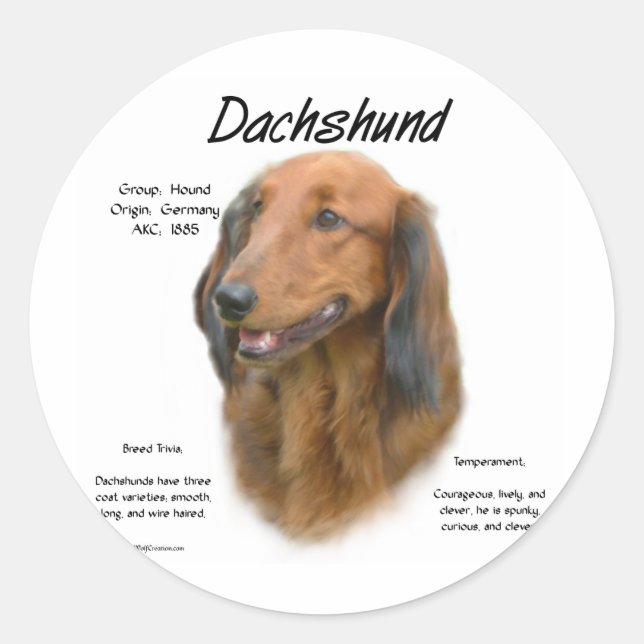 Dachshund (longhair) History Design Classic Round Sticker (Front)