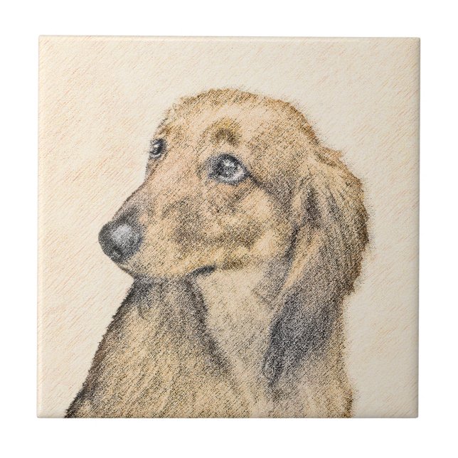 Dachshund (Longhaired) 2 Painting Original Dog Art Tile (Front)