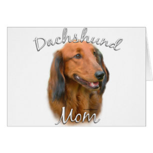 Dachshund (longhaired) Mum 2