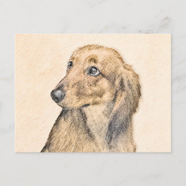 Dachshund (Longhaired) Painting - Original Dog Art Postcard (Front)
