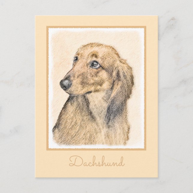 Dachshund (Longhaired) Painting - Original Dog Art Postcard (Front)