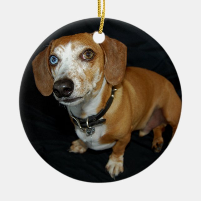 Dachshund Love Ceramic Tree Decoration (Front)