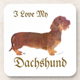Dachshund Love Coaster