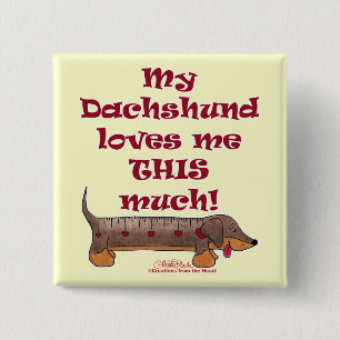 Dachshund Love Metre 15 Cm Square Badge