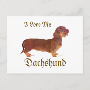Dachshund Love Postcard