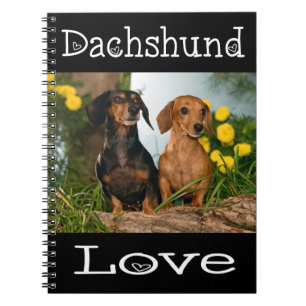 Dachshund Love Tan& Black Puppy Dog Spiral Notebook