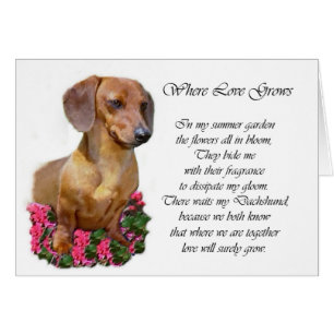 Dachshund Lovers Gifts