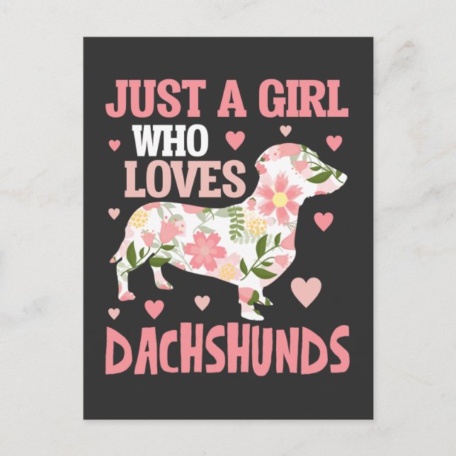 Dachshund Loving Girl Flower Dog Puppy Hearts Postcard (Front)