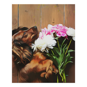 Dachshund Lying On The Wooden Floor Photo Print