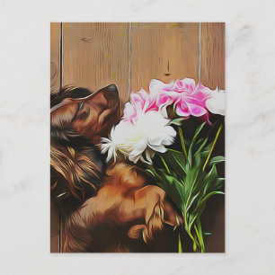 Dachshund Lying On The Wooden Floor Postcard
