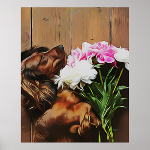 Dachshund Lying On The Wooden Floor Poster