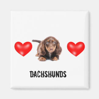 Dachshund Magnet