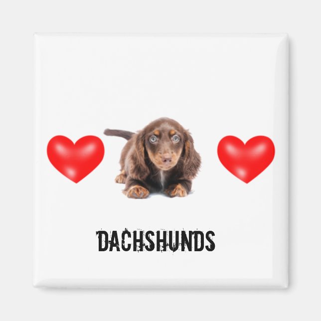 Dachshund Magnet (Front)