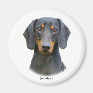 Dachshund Magnet