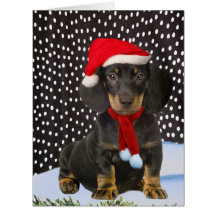 Dachshund Merry Christmas