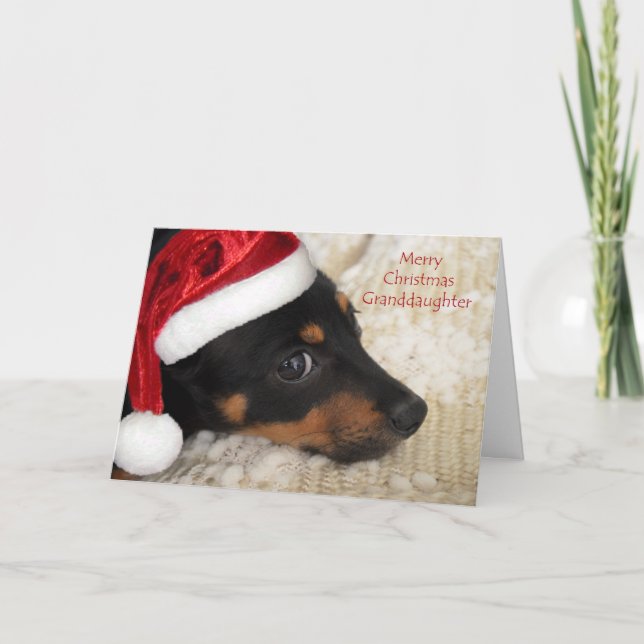 Dachshund Merry Christmas Granddaughter Holiday Card (Front)