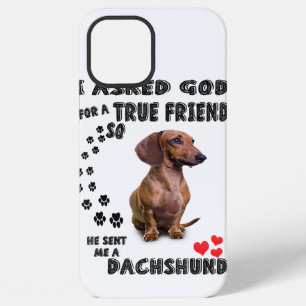Dachshund Miniature Gift, Sausage Dog, Weenie Wog, iPhone 12 Pro Max Case