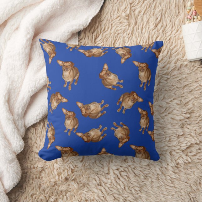 Dachshund Mix Dog  Cushion (Blanket)