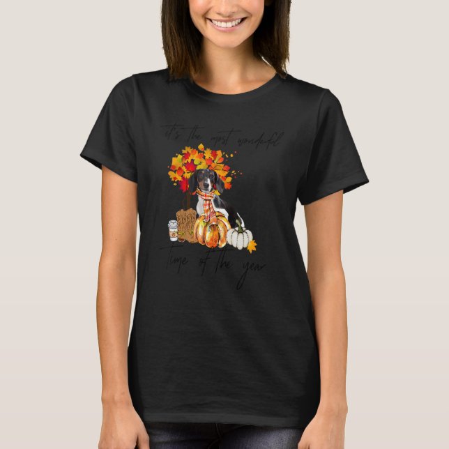 Dachshund Most Wonderful Time Pumpkin Spice Wester T-Shirt (Front)