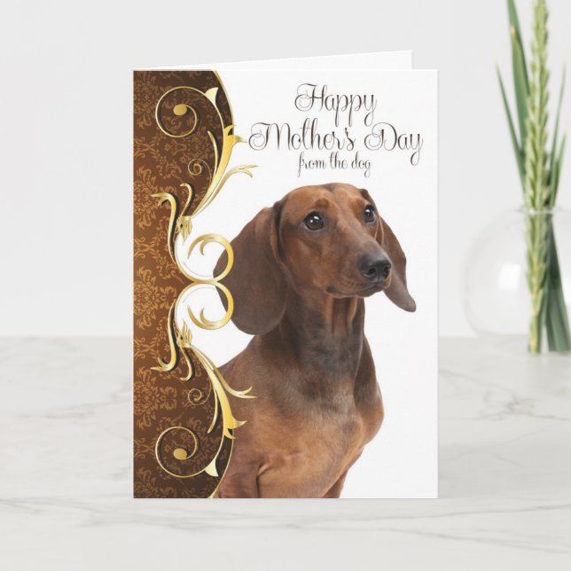 Dachshund Mother's Day Card (Front)