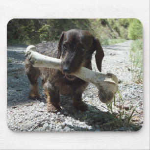 Dachshund Mouse Pad