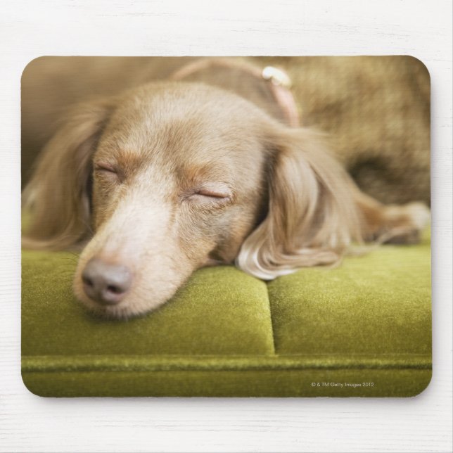 Dachshund Mouse Pad (Front)