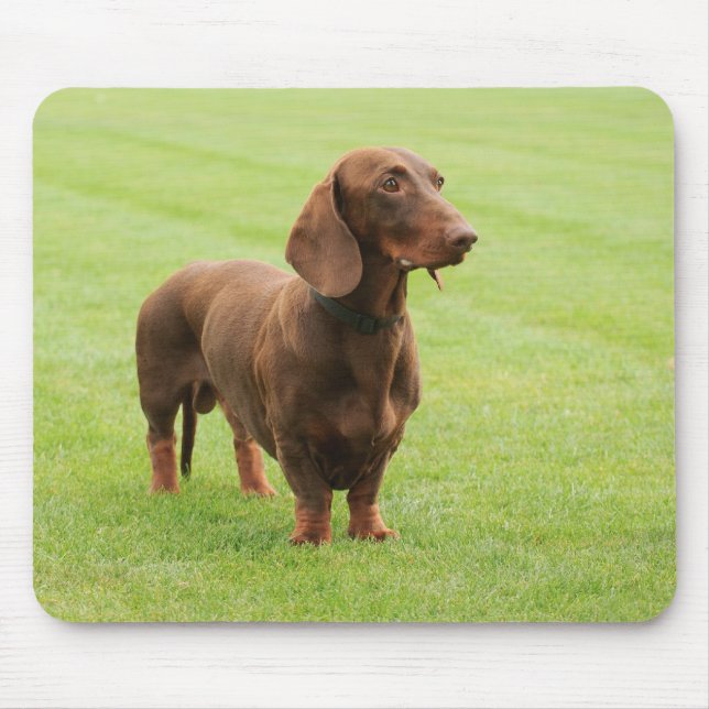Dachshund Mouse Pad (Front)