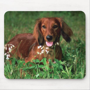 Dachshund Mouse Pad
