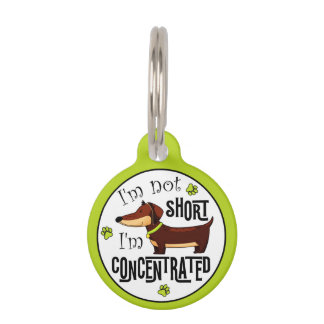 Dachshund Not Short I'm Concentrated  Pet Tag