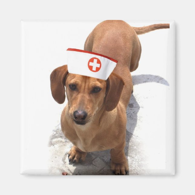 Dachshund nurse magnet (Front)