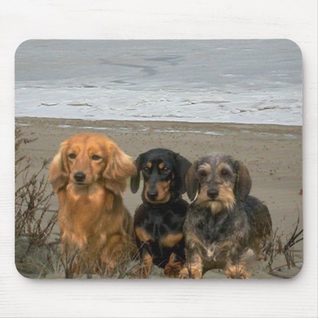 Dachshund On Beach Mousepad (Front)