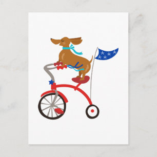 Dachshund On Bike Postcard