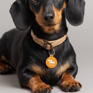 Dachshund Orange Charm Personalised Name Contact Pet Tag