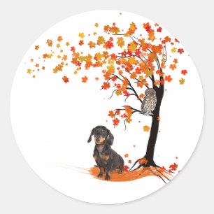 Dachshund Owl And Fall Tree Dachshund Lover Autumn Classic Round Sticker