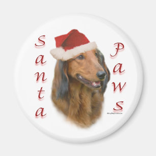 Dachshund Paws - Longhair Magnet