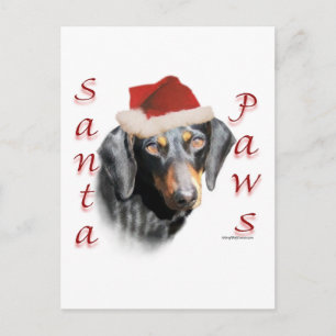 Dachshund Paws (smooth) Postcard