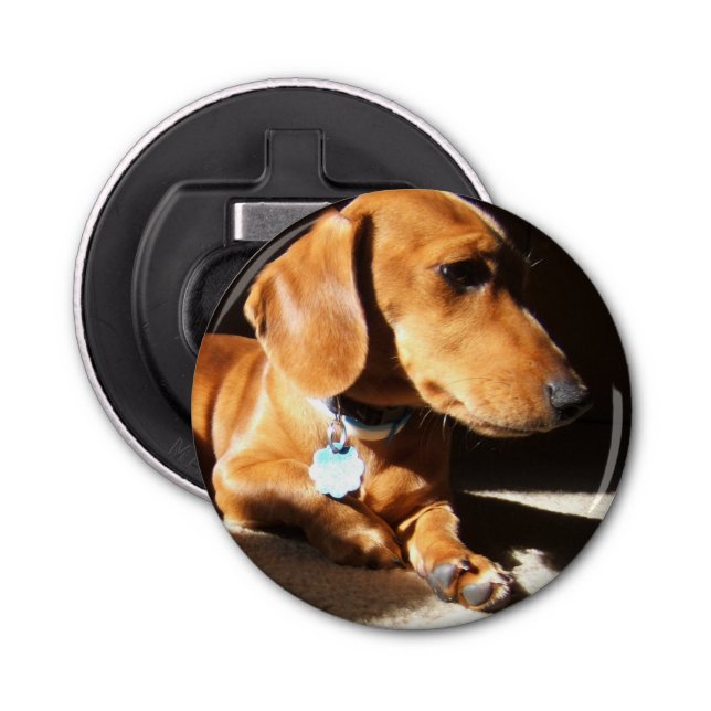 Dachshund Pet Dog Bottle Opener (Front)