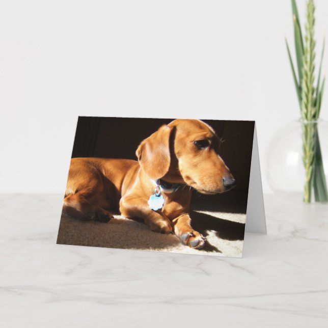 Dachshund Pet Dog Card (Front)