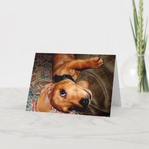 Dachshund Pet Puppy Card