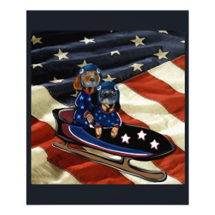 DACHSHUND  PHOTO PRINT