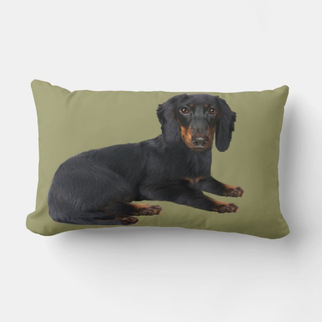 Dachshund Pillows (Front)