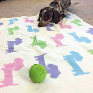 Dachshund Pink Purple Blue Green Pastels Blanket 