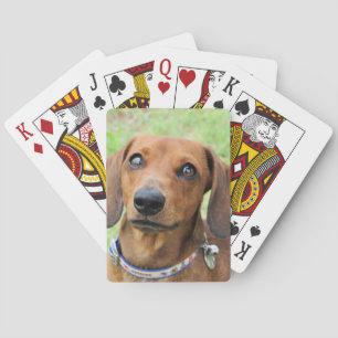 Dachshund Playing Cards