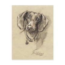 Dachshund portrait